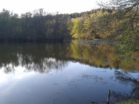 Езерото в Хамър Ууд